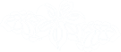 White flower graphic with 80 percent transparency