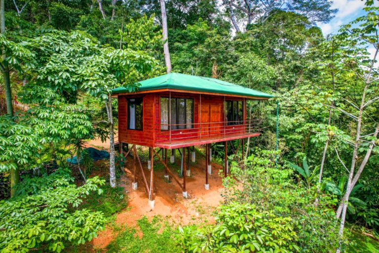 The Piña cabin at Bella Vida Retreats, Thurs., July 14, 2022, by Ed Medina.