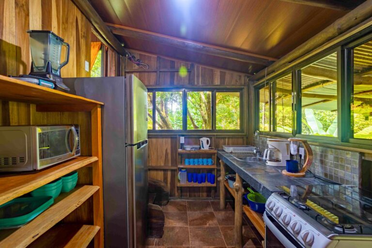 The Monkey House cabin at Bella Vida Retreats, Friday, July 15, 2022, by Ed Medina.