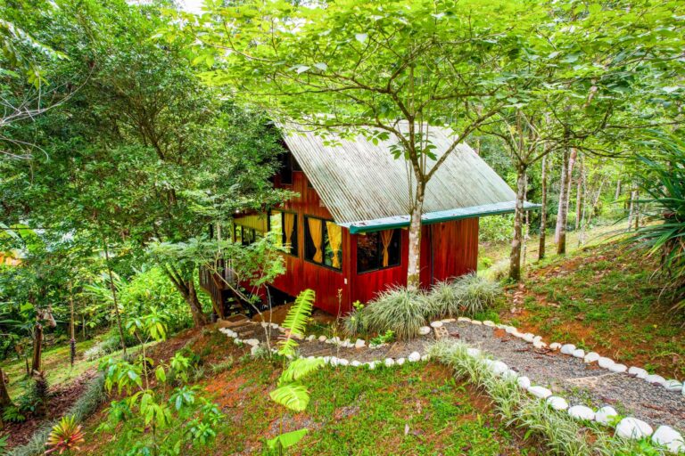 The Monkey House cabin at Bella Vida Retreats, Friday, July 15, 2022, by Ed Medina.