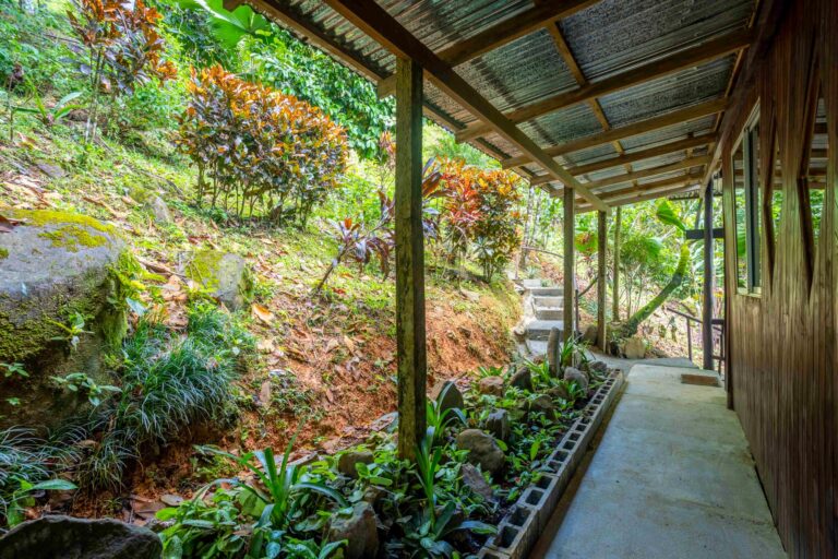 The Perezoso cabin at Bella Vida Retreats, Saturday, July 6, 2022, by Ed Medina.