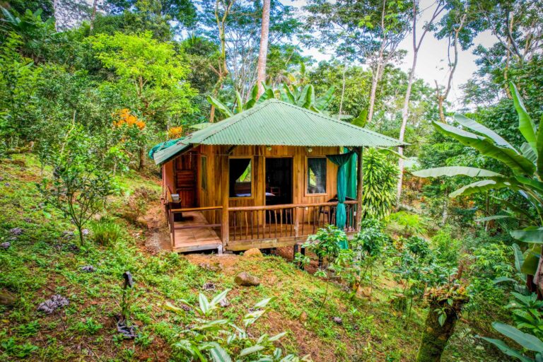 The Toucan cabin at Bella Vida Retreats, Thursday, July 14, 2022, by Ed Medina.