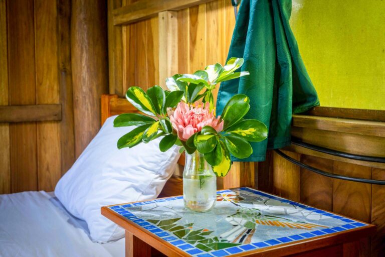 The Colibri (Hummingbird) cabin at Bella Vida Retreats, Thurs., July 14, 2022, by Ed Medina.